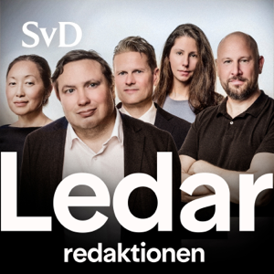 
        Valet när yuppien blev sosse
      