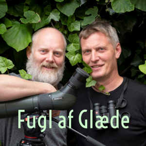Fugl af Glæde Podcast