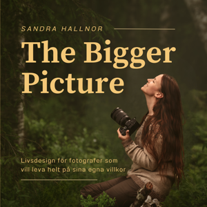 The Bigger Picture: För Fotografer