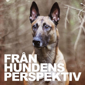 Från Hundens Perspektiv