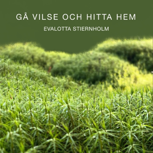 Gå vilse och hitta hem