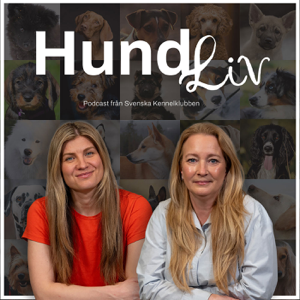 Hundliv