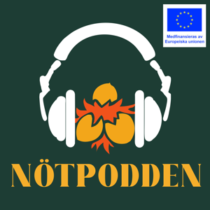 Nötpodden