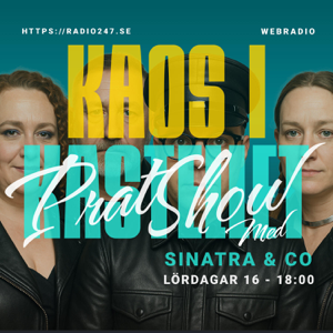 Kaos i Kastellet