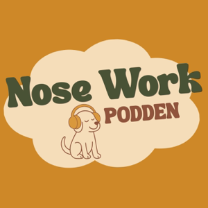Noseworkpodden