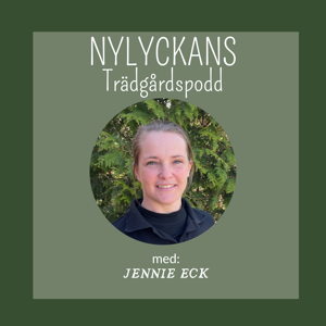 Nylyckans Trädgårdspodd med Jennie Eck