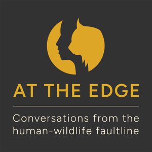 At the Edge