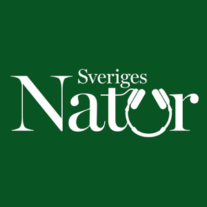 Sveriges Naturs podd – Sveriges Natur