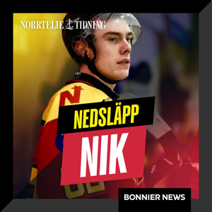 Nedsläpp NIK