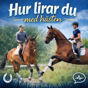 Hur lirar du med hästen