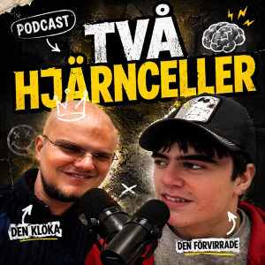 Två Hjärnceller