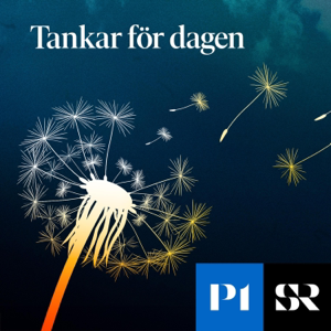 Tankar för dagen