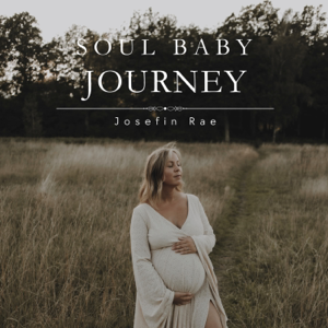 Soul Baby Journey