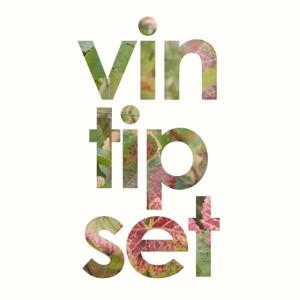 Vintipset