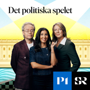 Det politiska spelet